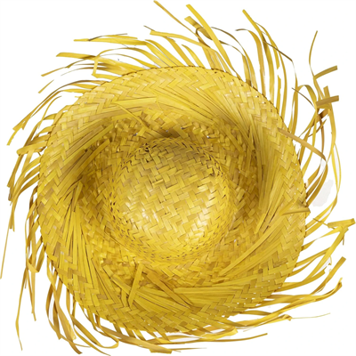 Tropikal Parti Sarı Hasır Hawaii Şapkası