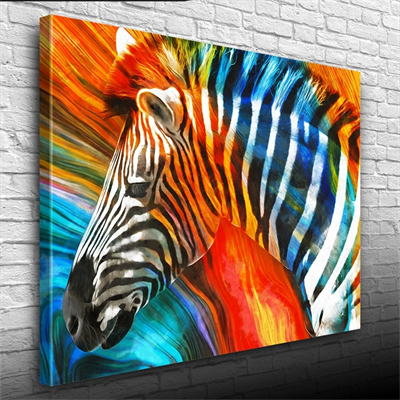 Turuncu ve Mavi Tonlar Zebra Resmi Kanvas Tablo 50 x 70