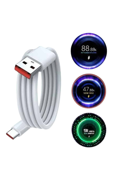 Type C Yüksek Hızlı Şarj Aleti Beyaz 120W Ultra Uzun Ömürlü