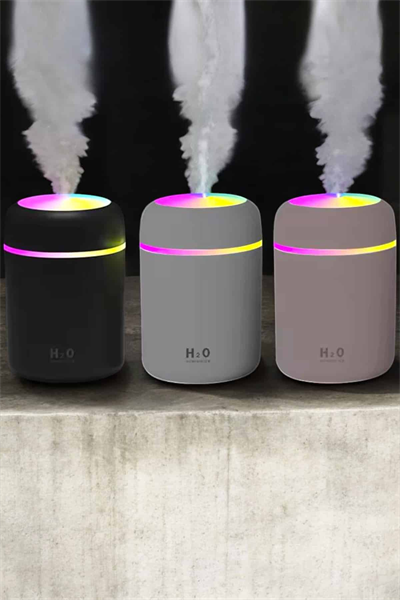 Ultrosonik Buharlı Hava Temizleyici Hava Nemlendirici Taşınabilir