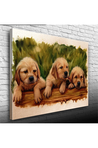 Yavru Köpekler Canvas Tablo (50x70)