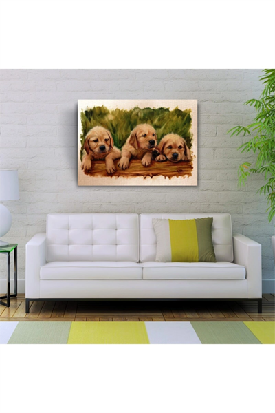 Yavru Köpekler Canvas Tablo (50x70)