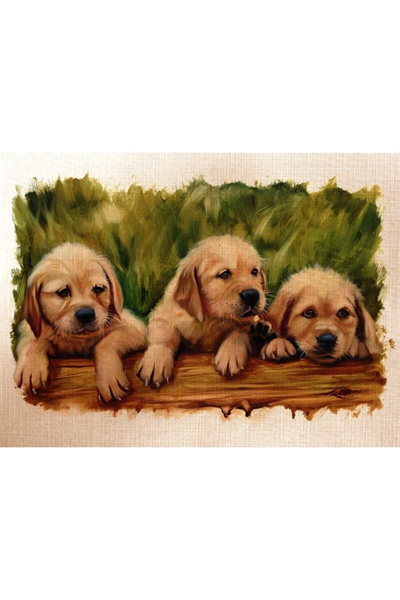 Yavru Köpekler Canvas Tablo (50x70)