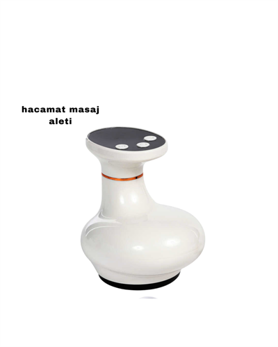 ZY816 MASAJ HACAMAT