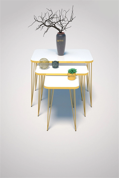 Zigon Sehpa Kr Gold Beyaz Tel