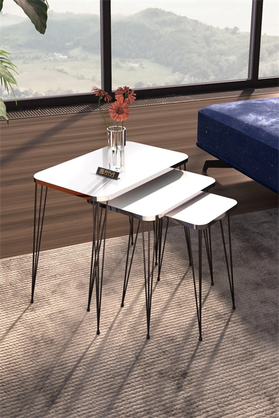 Zigon Sehpa Kr Gümüş Beyaz Tel Siyah Ayak