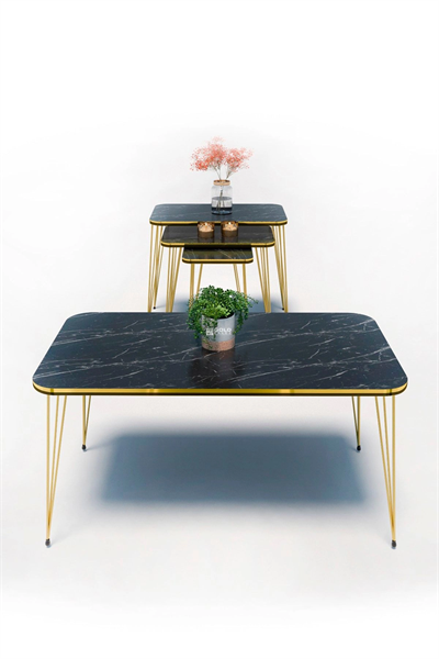 Zigon Sehpa Kr Ve Orta Sehpa Kr Set Çift Gold Bendir Tel 1113