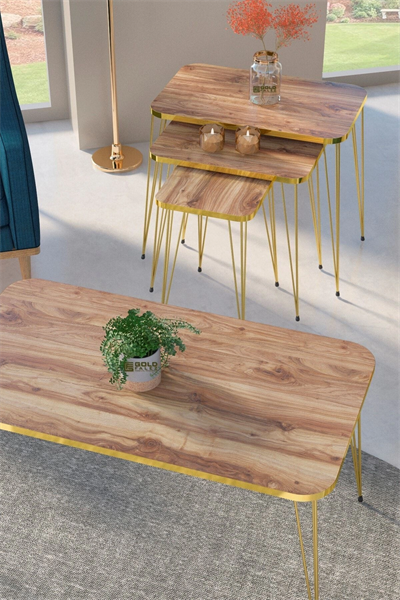 Zigon Sehpa Kr Ve Orta Sehpa Kr Set Gold Ceviz Tel 1108