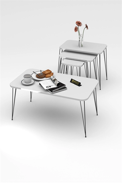 Zigon Sehpa Kr Ve Orta Sehpa Kr Set Gümüş Beyaz Tel Ayak Siyah