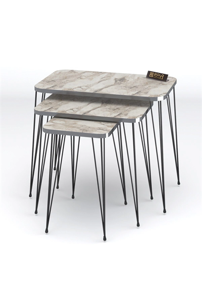 Zigon Sehpa Kr Ve Orta Sehpa Kr Set Gümüş Efes Tel Ayak Siyah