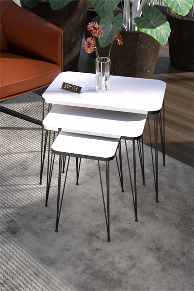 Zigon Sehpa Kr Ve Orta Sehpa Kr Set Gümüş Beyaz Tel Ayak Siyah