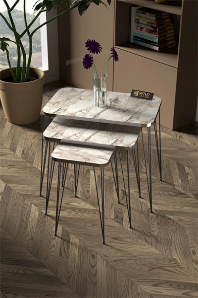 Zigon Sehpa Kr Ve Orta Sehpa Kr Set Gümüş Efes Tel Ayak Siyah