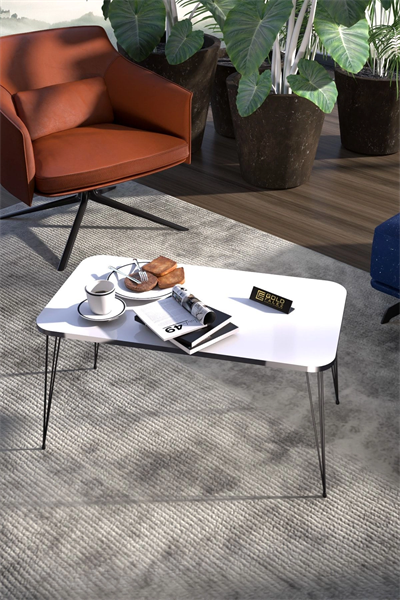 Zigon Sehpa Kr Ve Orta Sehpa Kr Set Gümüş Beyaz Tel Ayak Siyah