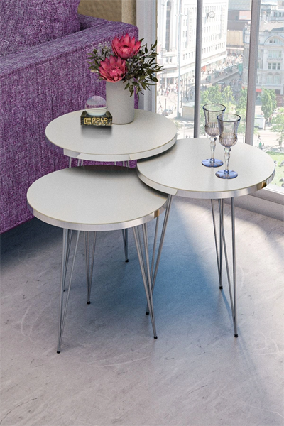 Zigon Sehpa Ve Orta Sehpa Elips Set Gümüş Beyaz Tel