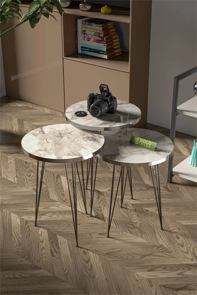 Zigon Sehpa Ve Orta Sehpa Elips Set Siyah Tel Ayak Gümüş Efes