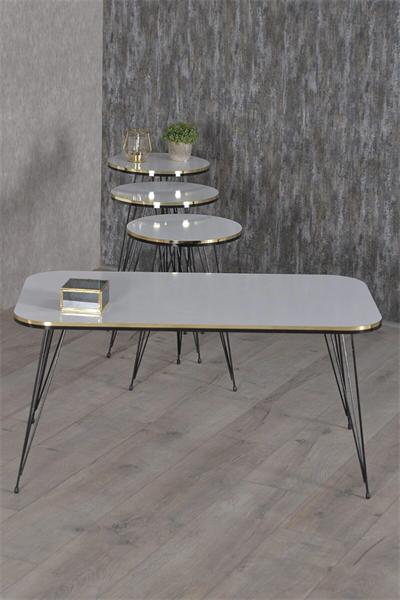 Zigon Sehpa Ve Orta Sehpa Kr Set Siyah Tel Ayak Çift Altın Beyaz