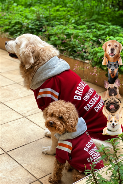 Brooklyn bordo köpek kıyafeti