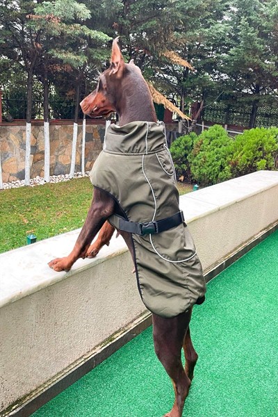 Büyük Irk Köpek Yağmurluğu, Su Geçirmez Orta Ve Büyük Irk Köpek Montu, Haki