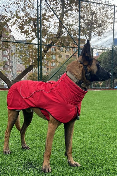 Büyük Irk Köpek Yağmurluğu, Su Geçirmez Orta Ve Büyük Irk Köpek Montu, Kırmızı 