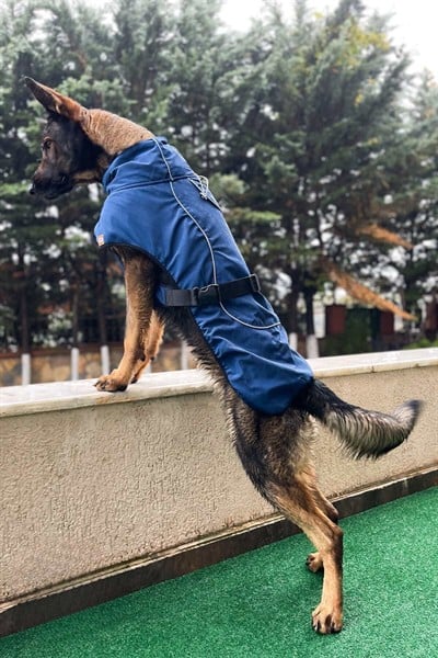 Büyük Irk Köpek Yağmurluğu, Su Geçirmez Orta Ve Büyük Irk Köpek Montu, Lacivert 