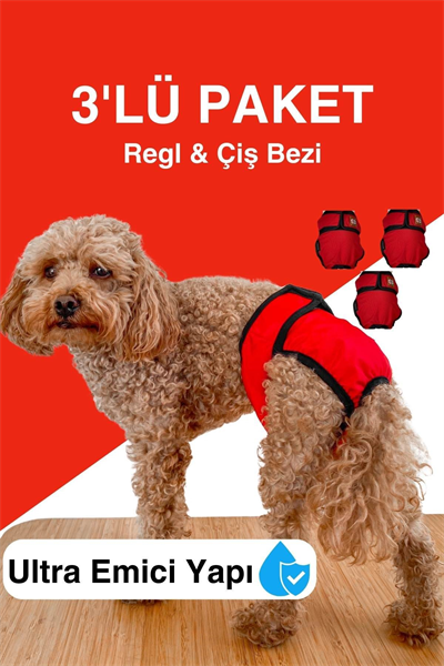 Dişi köpekler için regl külodu & çiş bezi