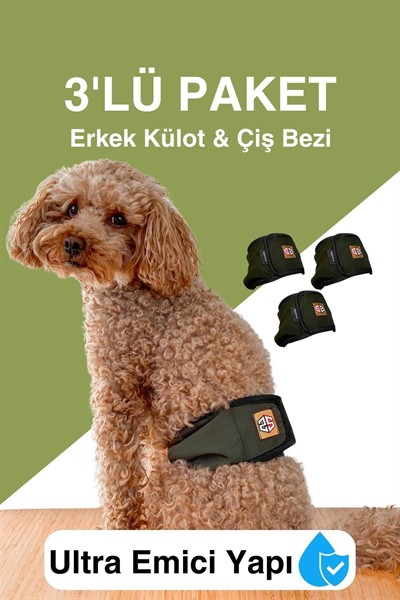 Erkek köpekler için çiş bezi & erkek köpek külot renkleri