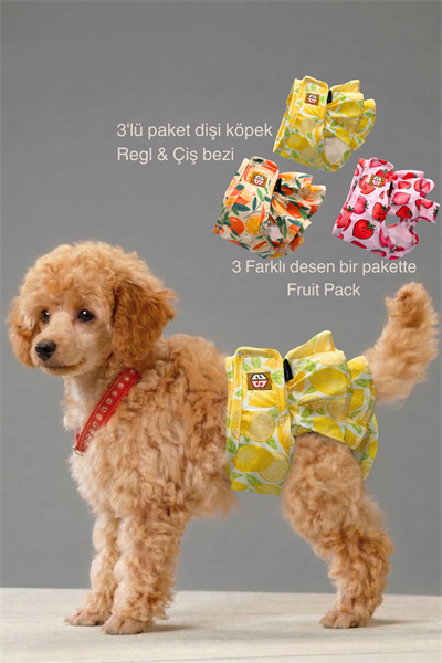 Fruits Desenli Dişi Köpek Regl Külotları 3'lü Avantajlı Paket