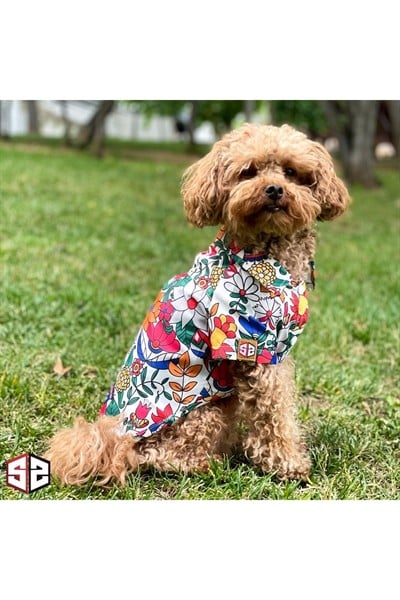 Hawaii Çiçek Desenli Köpek Gömleği - Küçük Irk, 0-15 kg, Neon Renkler, Yazlık