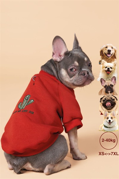 Köpek kıyafeti, Cacti Köpek sweatshirt, Küçük ırk köpek kıyafeti 0-38kg
