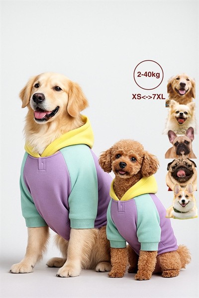 Köpek Kıyafeti, Köpek Sweatshirt, Positive Vibes