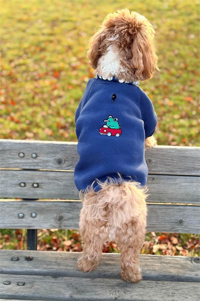 Küçük, Orta Ve Büyük Irk Köpek Kıyafeti, Speedfrog Köpek Sweatshirt