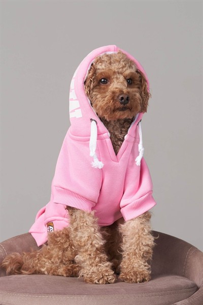 Pembe kapüşonlu köpek kıyafeti, Magnet Pembe