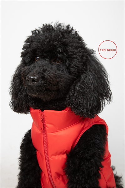 Puffer su geçirmez köpek mont, Kırmızı