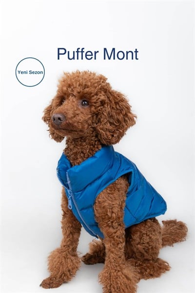 Puffer su geçirmez köpek mont, Lacivert