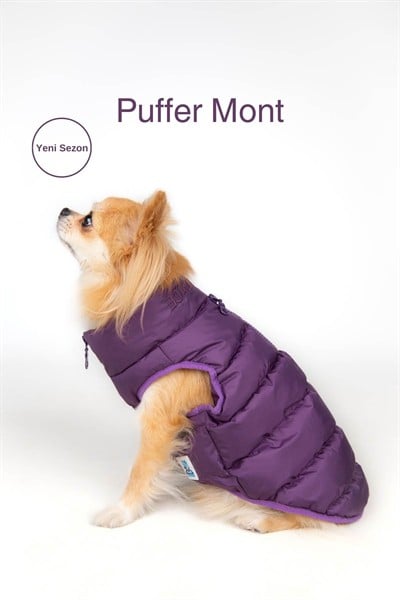 Puffer su geçirmez köpek mont, Mor