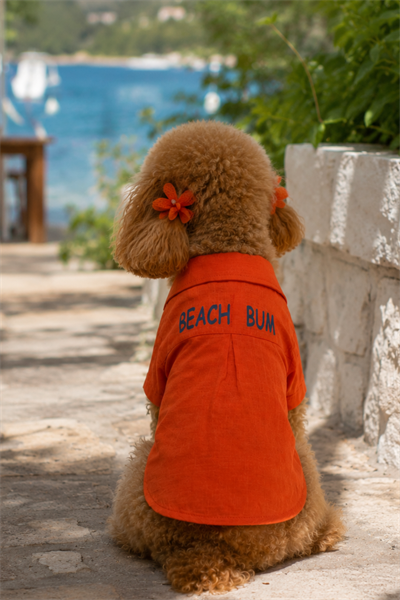 Salya Store %100 Pamuk Beach Bum Köpek Gömlek 0-15kg Kk-108