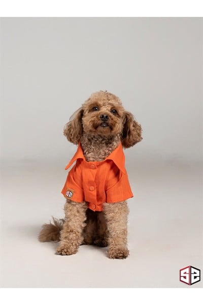 Salya Store %100 Pamuk Beach Bum Köpek Gömlek 0-15kg Kk-108