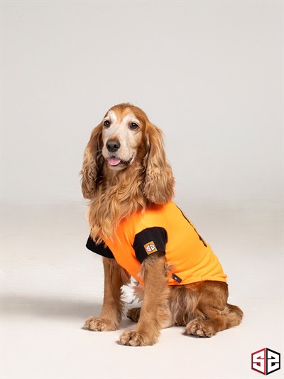 Salya Store Favorite Sound T-shirt %100 Pamuk Köpek Kıyafeti, Köpek Yazlık