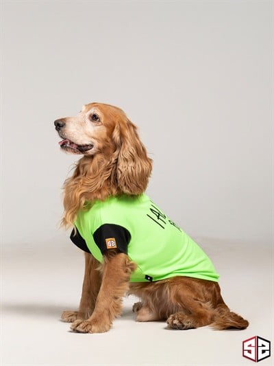 Salya Store I Always With You - T-shirt %100 Pamuk Köpek Kıyafeti, Köpek Yazlık 