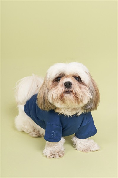 Salya Store Pou Serisi - İndigo 0-30kg Köpek Tshirt