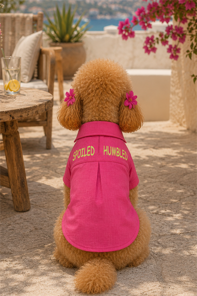 Salya Store Spoiled - Humbled - Fuşya Keten Yazlık Köpek Gömleği Küçük Irklar  Kk-109