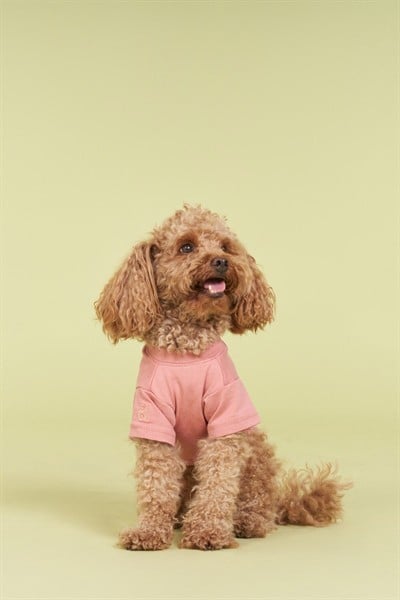 Salya Store Yeni Pou Serisi - Hands 0-30kg Köpek Tshirt 