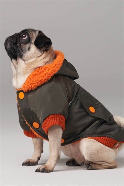 Su geçirmez köpek montu, Köpek yağmurluğu Haki