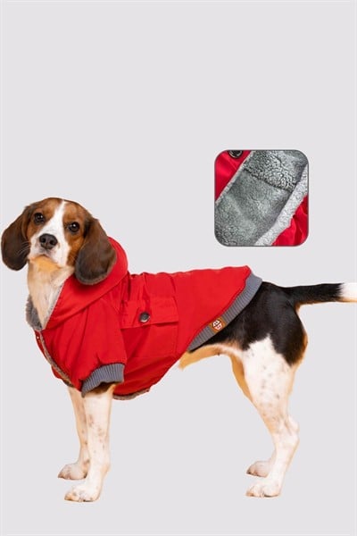 Su Geçirmez Köpek Yağmurluğu, Küçük Irk Köpek Kıyafeti, Kırmızı