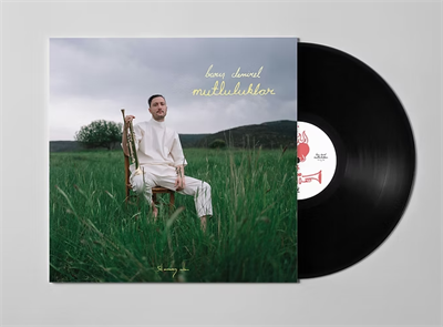 Barış Demirel - Mutluluklar  Plak LP