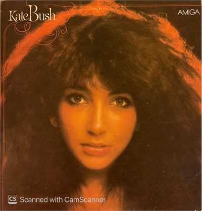 Kate Bush - Compilation Plak LP 