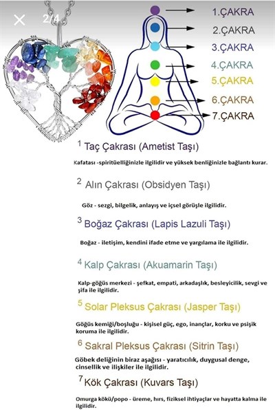 (3538) Sertifikalı Doğal Kuvars Ametist Lapis Lazuli Aventurin Sitrin Akik 7 Çakra Hayat Ağacı Kolye çok renkli Tek Ebat