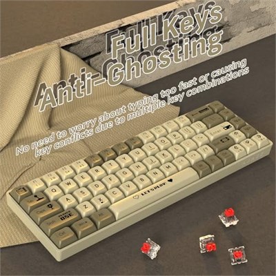 A.JAZZ AK680 65% Kablolu Hotswap Mekanik Oyun Klavyesi,68 Tuşlu Taşınabilir Anti-Ghosting Klavye,Gökkuşağı Arkadan Aydınlatmalı Programlanabilir,EVA Sandviç,Ergonomik Tasarım,Kırmızı Anahtar-Gri