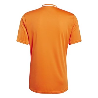 Adidas Campeon25 Jsy M Erkek Futbol Antrenman Forması JF6061Mavi