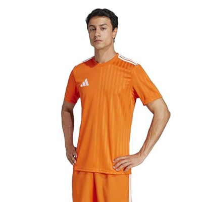 Adidas Campeon25 Jsy M Erkek Futbol Antrenman Forması JF6061Mavi